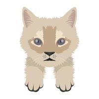 Cute Cat Concepts vector