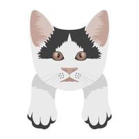 Cute Cat Concepts vector