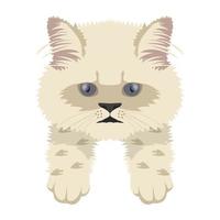 conceptos de gato de dibujos animados vector