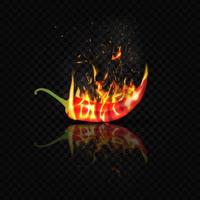 Red bitter pepper is embraced by fire on a black background and reflected in the glossy surface of the table. vector