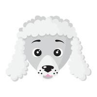 Vector cartoon dog face of Poodle breed.