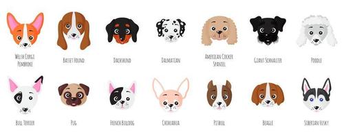 Set of little puppy dogs face of different breeds. vector