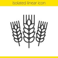 Wheat ears linear icon. Barley thin line illustration. Spikes of rye contour symbol. Vector isolated outline drawing