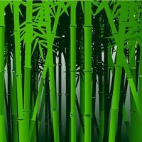 bambú verde decorativo vector