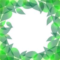 Green leaves frame vector