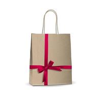 Empty shopping brown bag with  tied pink ribbon vector