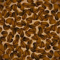 Coffee beans background vector