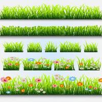 Grass and flowers vector