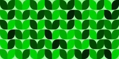 free vector background pattern