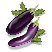 Purple Eggplant Vector