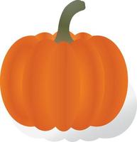 Pumpkin realistic vector illustration