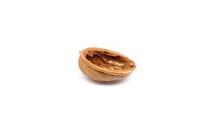 Walnut, organic fruit on white background. photo