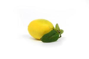 Sweet lemon isolated on white background. photo