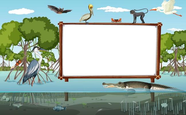 Empty banner in mangrove forest scene with wild animals