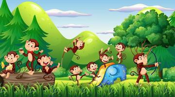 Forest scene with funny monkeys cartoon vector