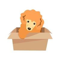 A small dog sits in a cardboard box vector