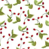 Seamless pattern with berries of wild strawberry vector