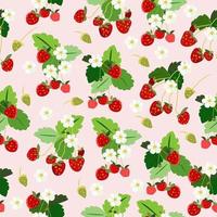 Seamless pattern with strawberries and white flowers vector