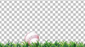 Baseball on the grass field on grid background vector