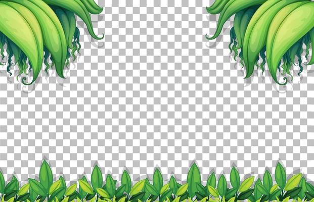 Various tropical leaves on grid background