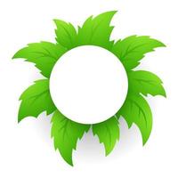 Circle on a Background of Tropical Green Leaves for Text. Vector illustration