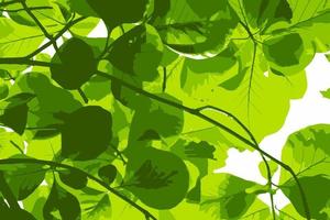 hojas verdes frescas. fondo natural. ilustración vectorial vector