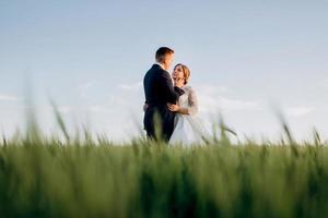 the groom and the bride walk along the wheat green field photo