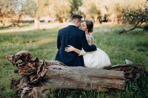 the groom and the bride are walking in the forest near a narrow river photo