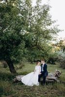 the groom and the bride are walking in the forest near a narrow river photo