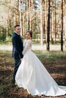 the bride and groom are walking in a pine forest photo