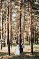 the bride and groom are walking in a pine forest photo