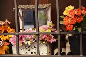 pink and yellow flowers on gray wooden frame photo