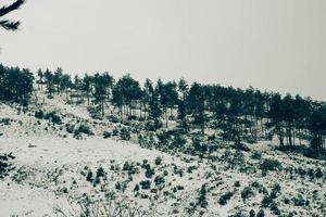 cabaña invierno nieve foto