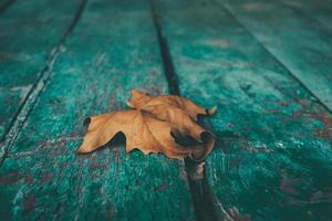 dry leaf on old wood photo
