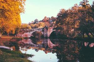 fall at park photo