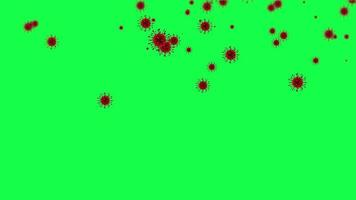 animación de virus covid cayendo lentamente sobre una pantalla verde. video