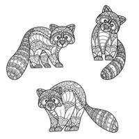 Raccoon pattern hand drawn for adult coloring book vector