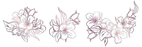 Set with 3 flowering sprigs of jasmine. Contour of flowers isolated from white background. vector