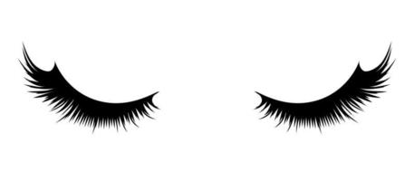 Women's fluffy eyelashes. A depiction of thick ink-painted handbags against a white background. vector