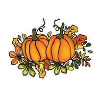 calabazas con hojas para decoración de cosechas vector