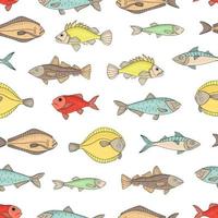 Vector colored seamless pattern of fish. Colorful repeating background with halibut, rock-fish, mackerel, herring, flatfish, sprat, grouper, cod. Underwater illustration