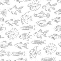 vector de patrones sin fisuras en blanco y negro de peces de acuario. Fondo monocromático repetido con molly, guppy, ornitorrinco, goldfish, danio, scalare, cichlasoma, ancistrus. ilustración submarina