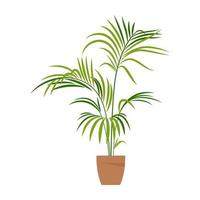 Home plant. Potted plant isolated on white. Flat. Vector illustration.