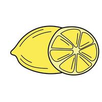 Hand drawn lemon. Sketch. Doodle isolated on white background. Perfect for summer design. vector