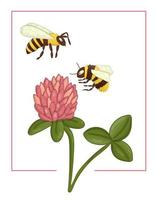 Vector illustration of colored clover with bee and bumblebee. Bright colorful picture of wild flower. Good for organic natural design. Watercolor effect.