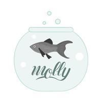 vector ilustración coloreada de peces en acuario con letras de nombre de peces. linda imagen de molly para tiendas de mascotas o ilustración infantil