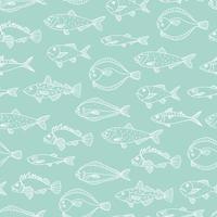 Vector seamless pattern of white fish outlines isolated on blue background. Repeating background with halibut, rock-fish, mackerel, herring, flatfish, sprat, grouper, cod. Underwater