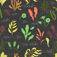 Vector colored seamless pattern of seaweeds isolated on black textured background. Colorful repeating marine background. Underwater vintage illustration