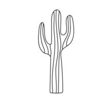 Cactus - cartoon illustration vector