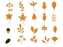 conjunto de hojas de elemento decorativo. ilustración de otoño vector